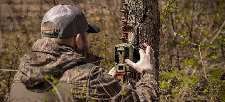 As 10 melhores dicas para utilizar câmeras de trilha na caça de javali