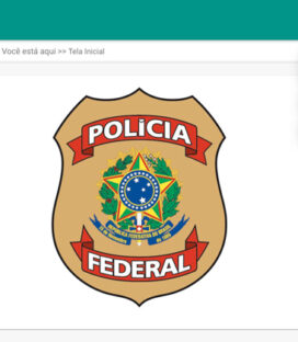 Sinarm CAC: Guia Completo do “Novo” Sistema da Polícia Federal para CACs
