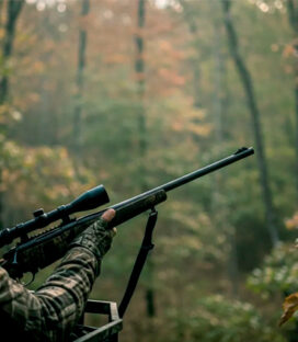 As Melhores Armas para Caça de Javali: Escolha Certa para Cada Situação