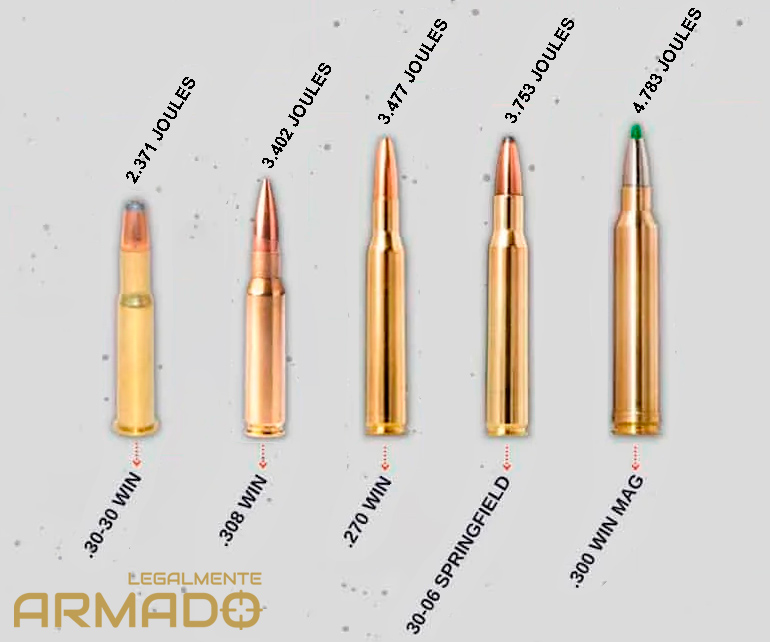 Calibres recomendados por especialistas para caça de javali